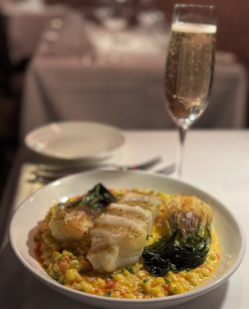 Caribbean Black Grouper